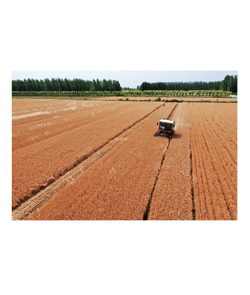 �Zʳ�Pֲ�c�Ճ�